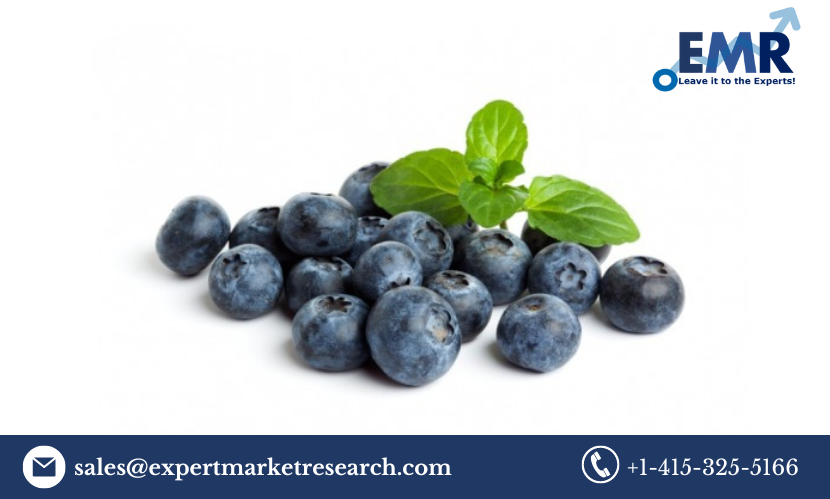 Organic Berries Market Size to Grow at a CAGR of 2.90% in the Forecast Period of 2023-2028