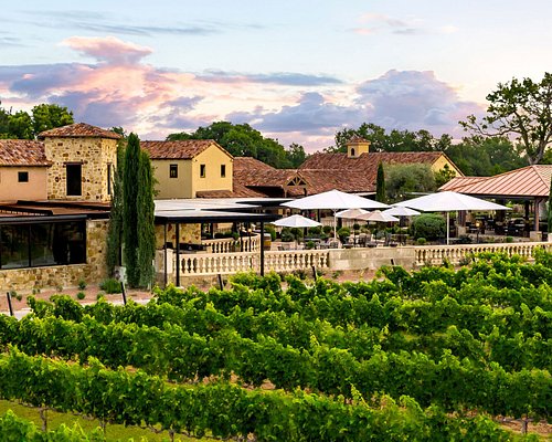 5 Top Texas Wineries to Visit
